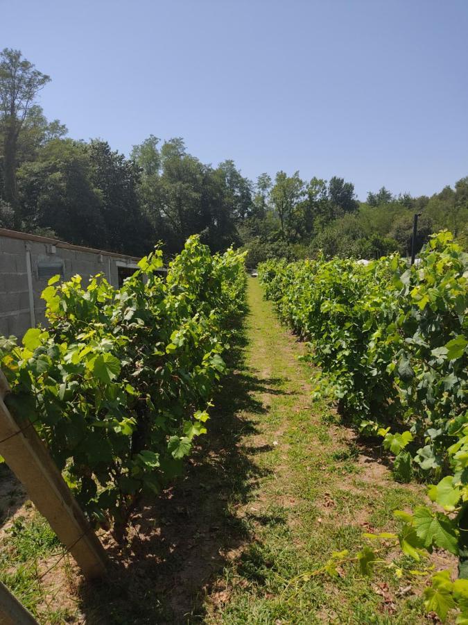 Casita En Pontevedra Lejlighed Eksteriør billede